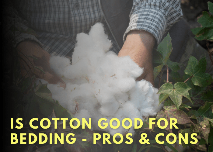 Is Cotton Good For Bedding